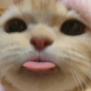 Bleppyp emoji