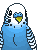 Budgie emoji maker