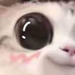 Bigeyecat0 emoji