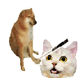 The generated bonk-doge animated emoji GIF