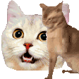 The generated cat-slap animated emoji GIF