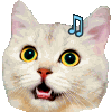 The generated catjam-bob animated emoji