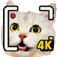 The generated caught-in-4k animated emoji