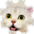 The generated coggers static emoji PNG
