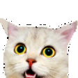 The generated confused-cat static emoji PNG
