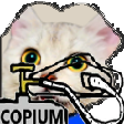 The generated copium static emoji PNG