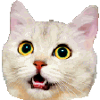 The generated corner-bonk animated emoji