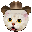 The generated cowboy static emoji PNG