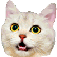 The generated double-take animated emoji