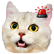 The generated fire-drill animated emoji