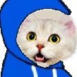 The generated hoodie static emoji PNG