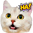 The generated kekw-laugh animated emoji