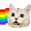 The generated nyan animated emoji