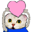 The generated peepo-love static emoji PNG