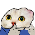 The generated peepo-shy static emoji PNG