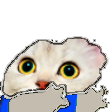 The generated peepo-want static emoji PNG