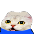 The generated peepo static emoji PNG