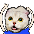 The generated pepe-cheer static emoji PNG