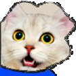 The generated pepe static emoji PNG