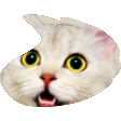 The generated pepega static emoji PNG
