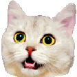 The generated pog-zoom animated emoji