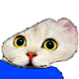 The generated sadge static emoji PNG