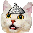 The generated tinfoil-hat animated emoji