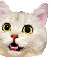The generated whip-right animated emoji