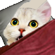 The generated wokege static emoji PNG