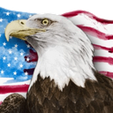 America Eagle emoji maker