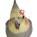 Birb Angryq emoji maker