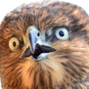 Bird Wtf E emoji maker