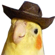 Birdcowboyq emoji maker