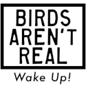 Birds Arent Real emoji maker