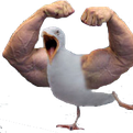 Birdstrongq emoji maker