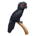 Black Cockatoo emoji maker