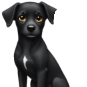 Blackdog emoji maker