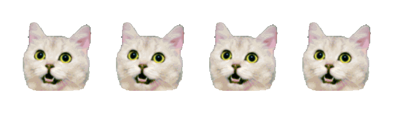Four animated cats in a row: waving, cheering, nodding, and panicking