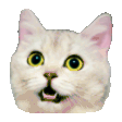 Slower nod: a white cat moving its head down and up