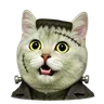 White cat in a frankenstein monster costume