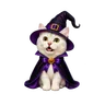 White cat in a witch costume