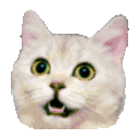 GIF with animation decoding available