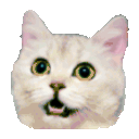 Resized wave hello cat animation