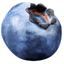 Blueberry emoji maker