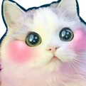 Blushkittyq emoji