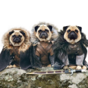 Braceyourselves emoji