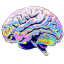 Brain emoji
