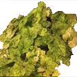 Bud 2 emoji