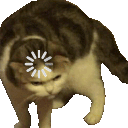 Buffercat emoji