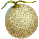 Cantaloupe emoji